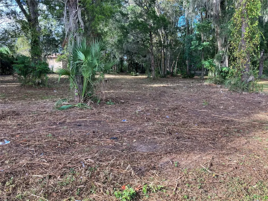 2917 NE 3rd Street Ocala FL 34470