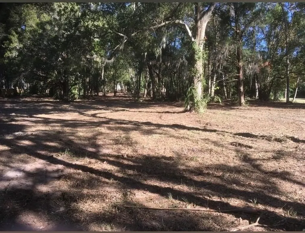 2917 NE 3rd Street Ocala FL 34470