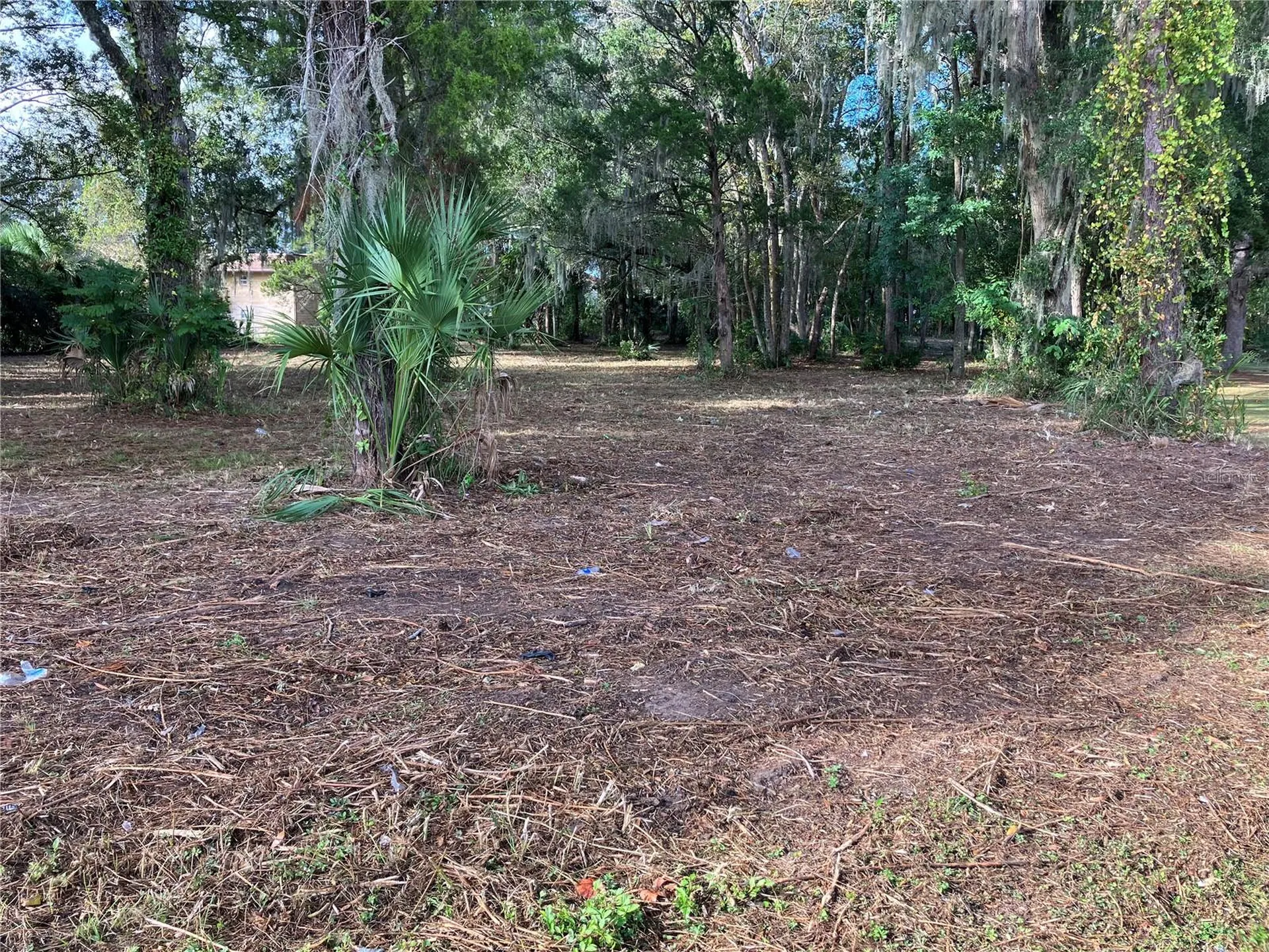 2917 NE 3rd Street Ocala FL 34470