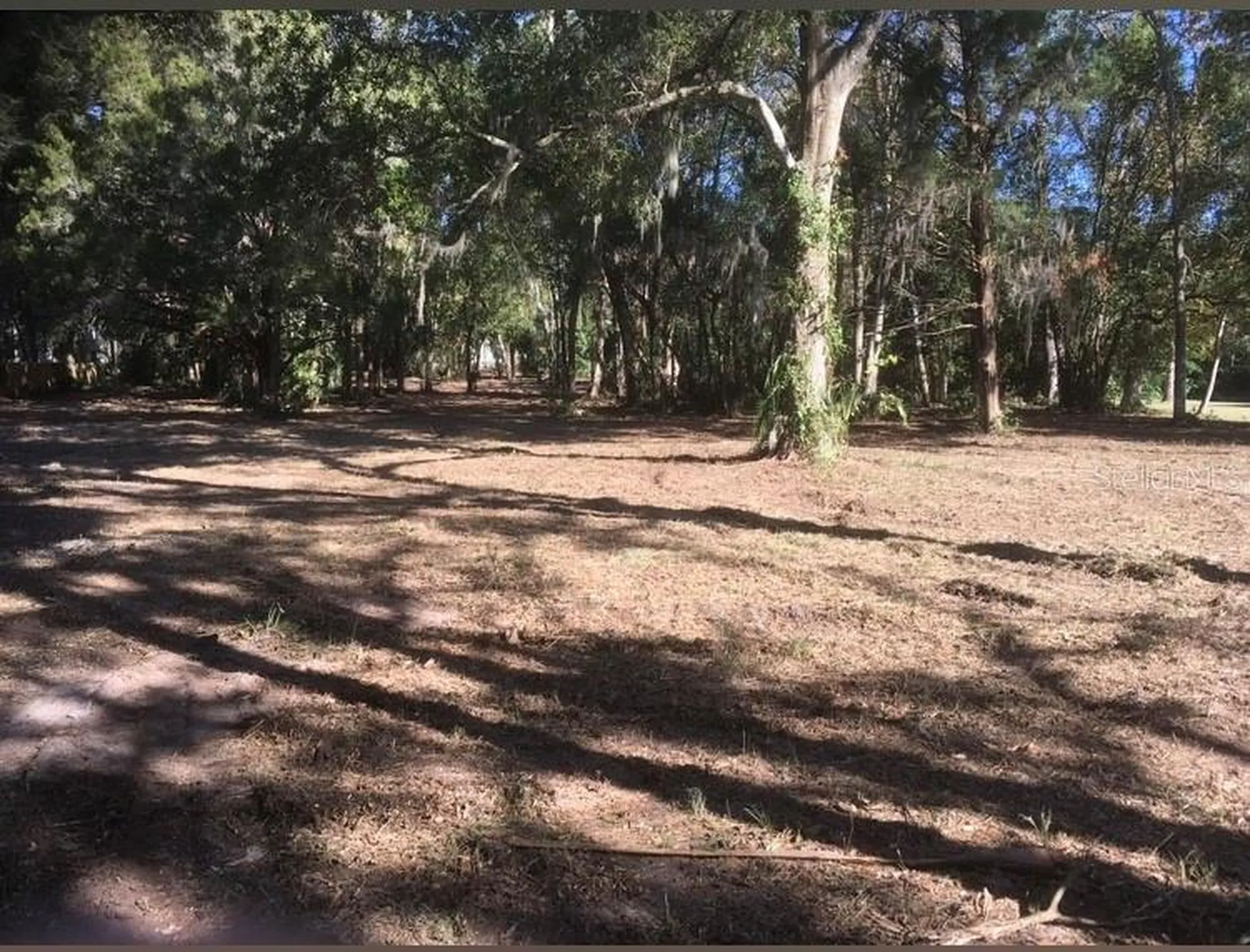 2917 NE 3rd Street Ocala FL 34470