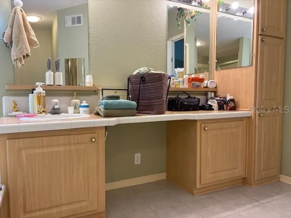 1894 Elizabeth Lane Mount Dora FL 32757