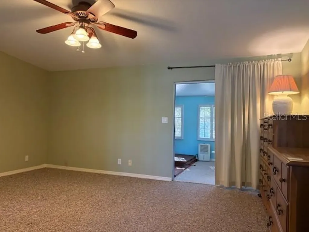 1894 Elizabeth Lane Mount Dora FL 32757