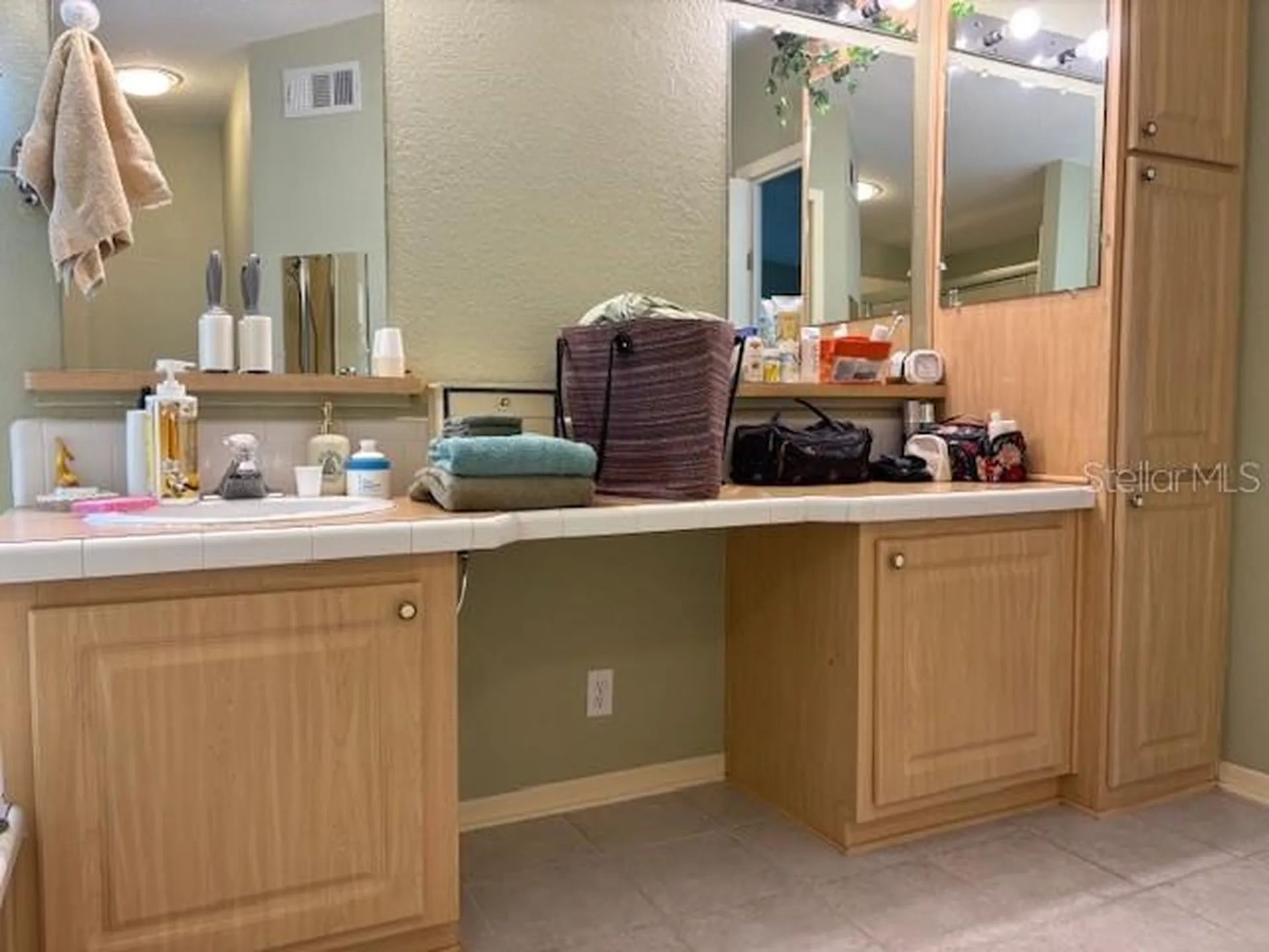1894 Elizabeth Lane Mount Dora FL 32757
