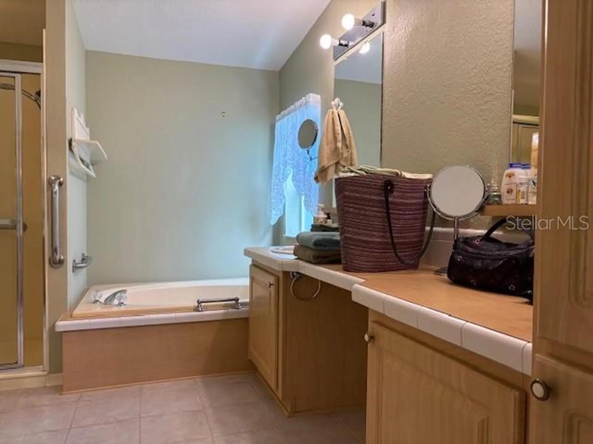 1894 Elizabeth Lane Mount Dora FL 32757