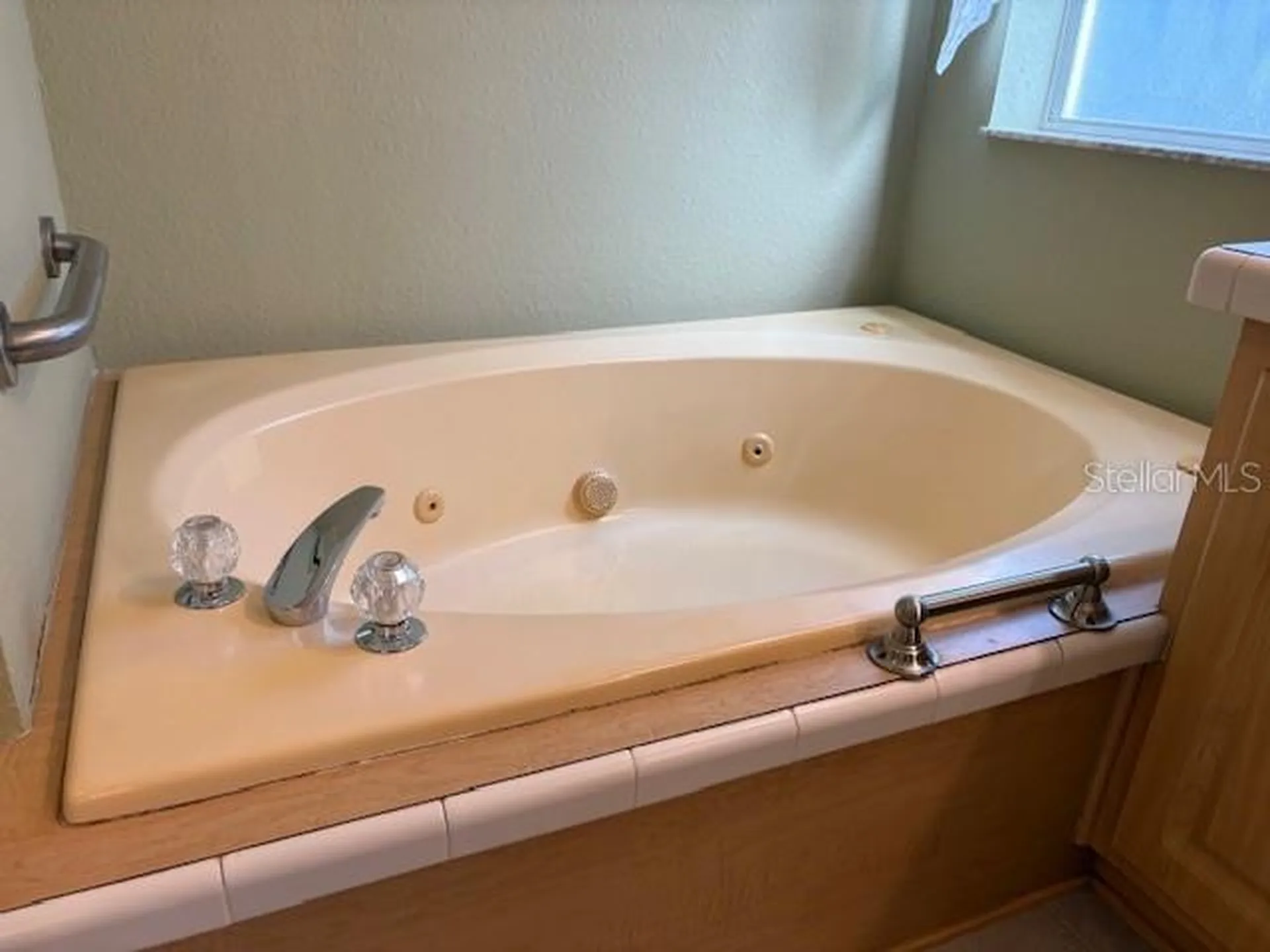 1894 Elizabeth Lane Mount Dora FL 32757