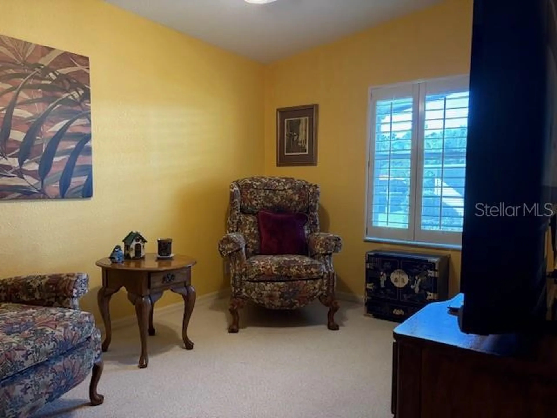 1894 Elizabeth Lane Mount Dora FL 32757