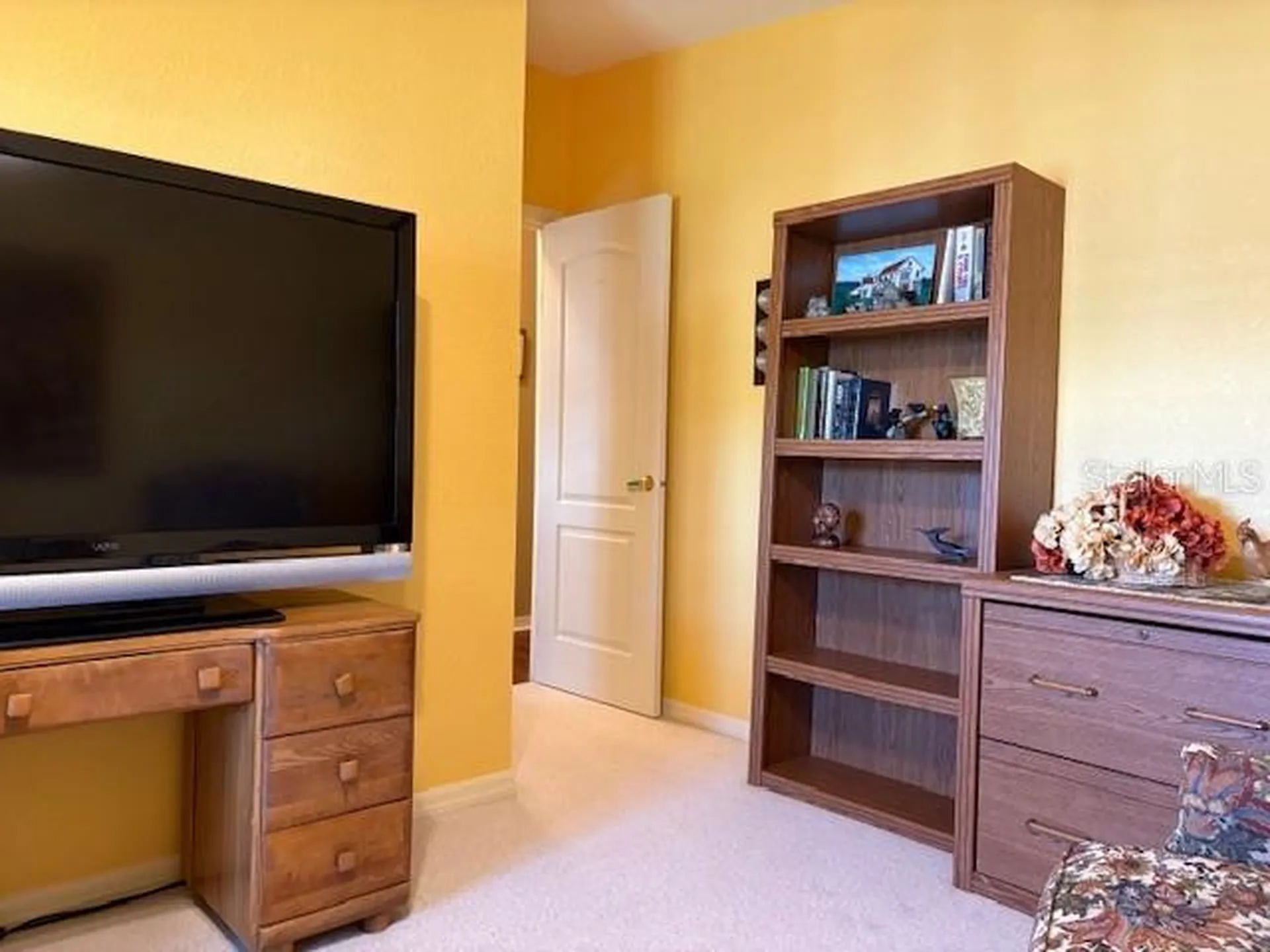 1894 Elizabeth Lane Mount Dora FL 32757