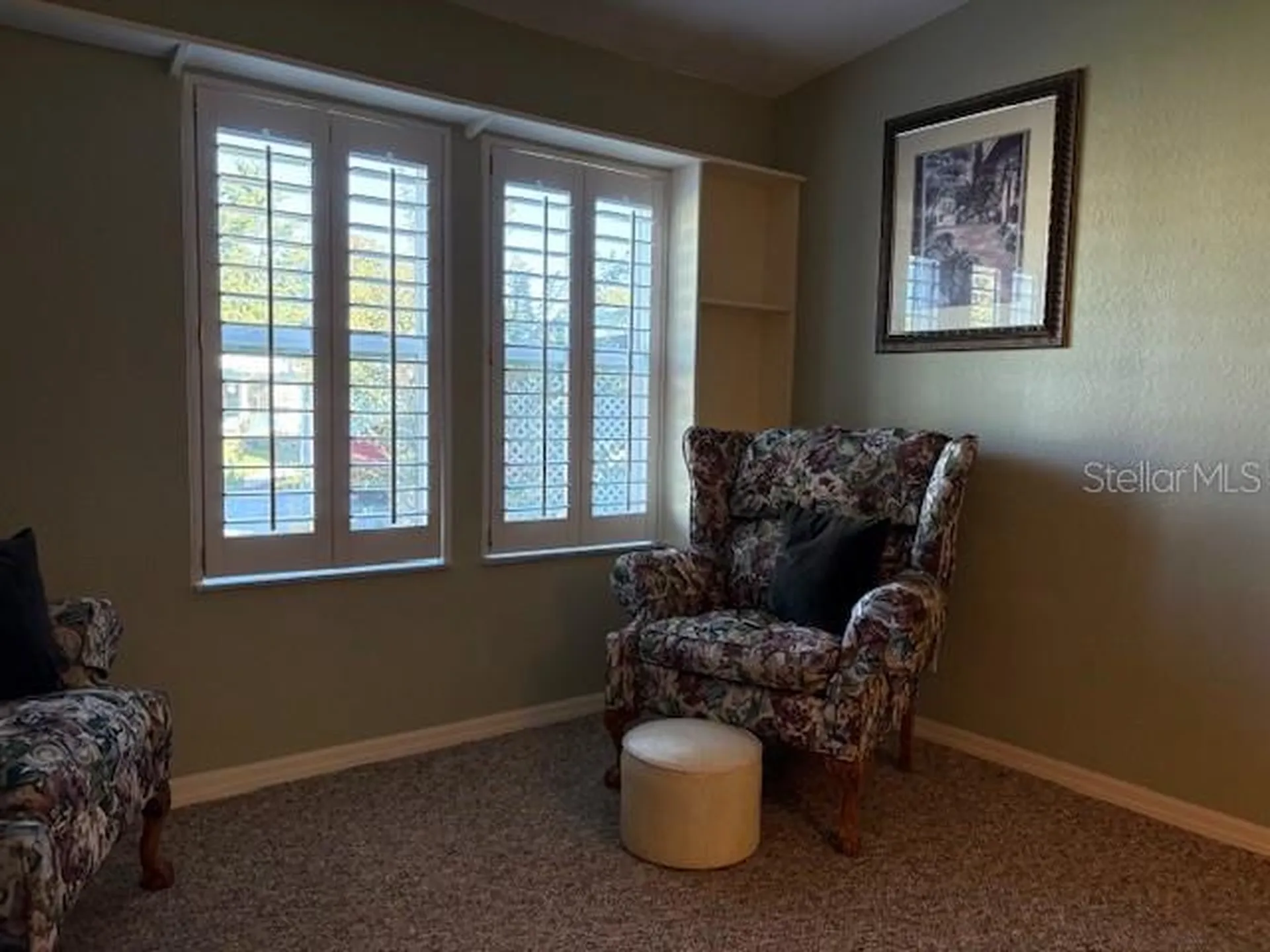 1894 Elizabeth Lane Mount Dora FL 32757