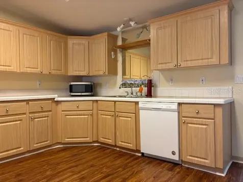 1894 Elizabeth Lane Mount Dora FL 32757