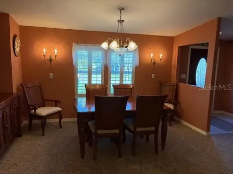 1894 Elizabeth Lane Mount Dora FL 32757