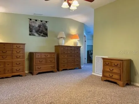1894 Elizabeth Lane Mount Dora FL 32757