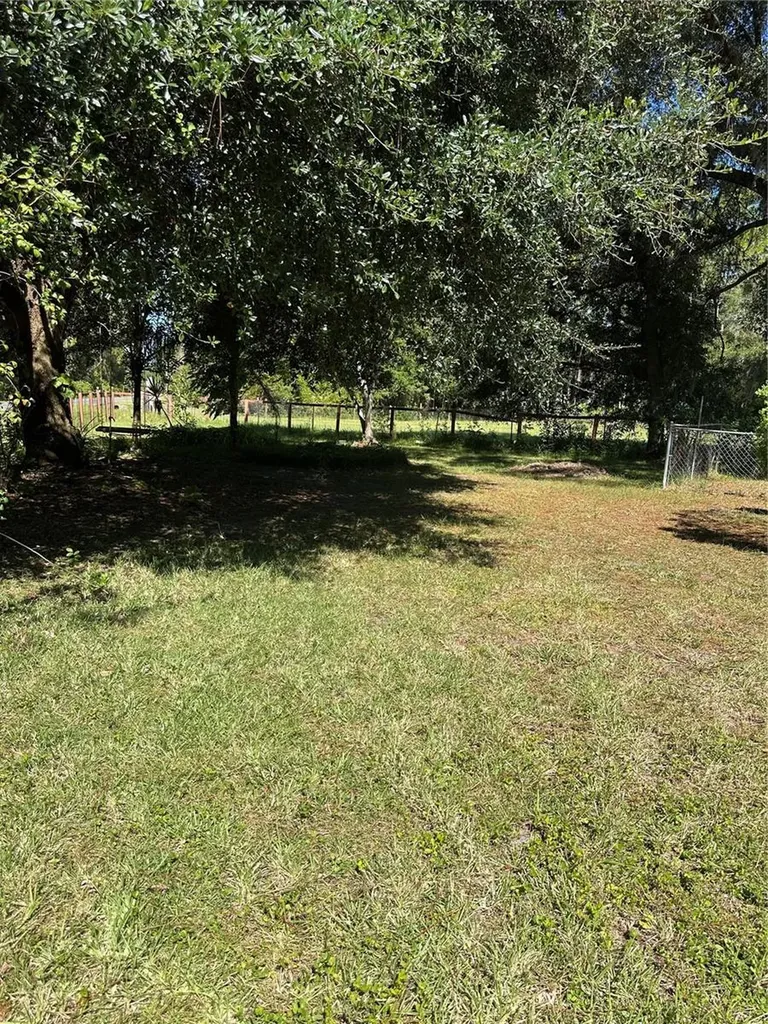 12019 NE 212th Street Road Fort Mc Coy FL 32134