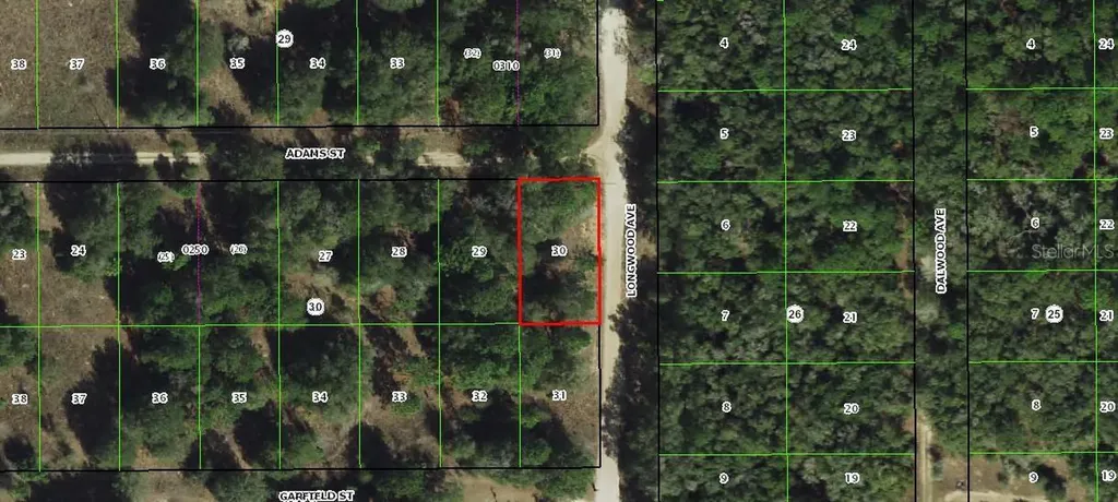 2203 Adams Street Inverness FL 34453