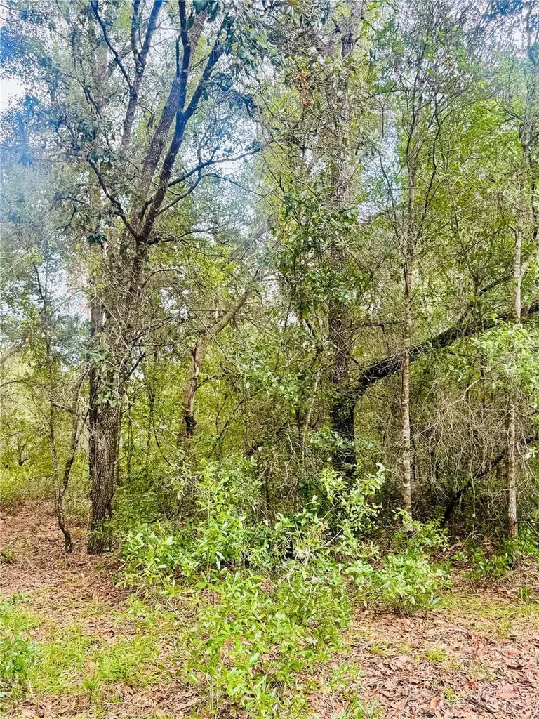 2203 Adams Street Inverness FL 34453