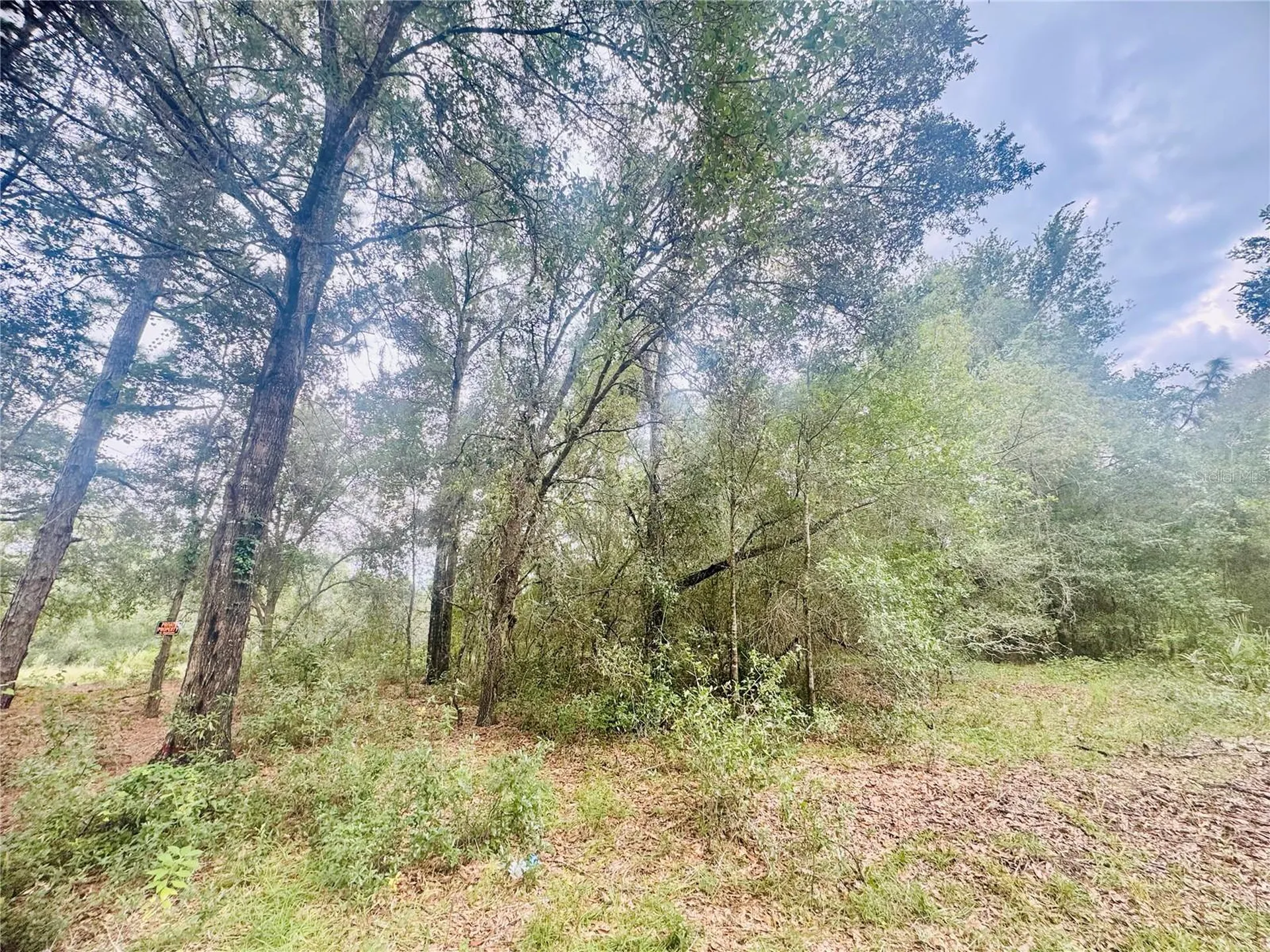 2203 Adams Street Inverness FL 34453