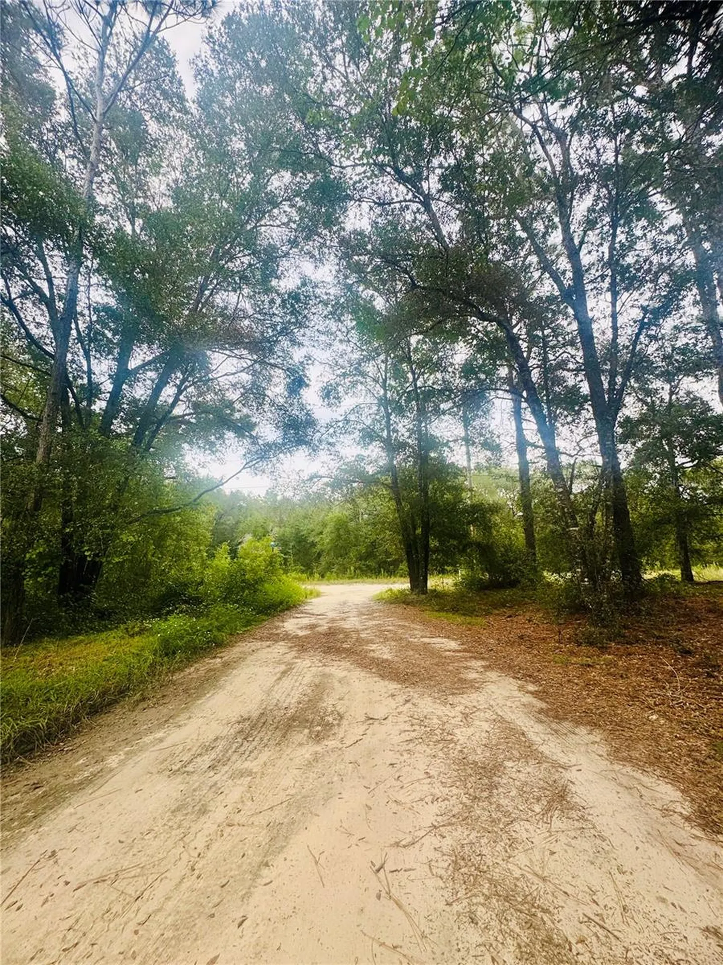 2203 Adams Street Inverness FL 34453