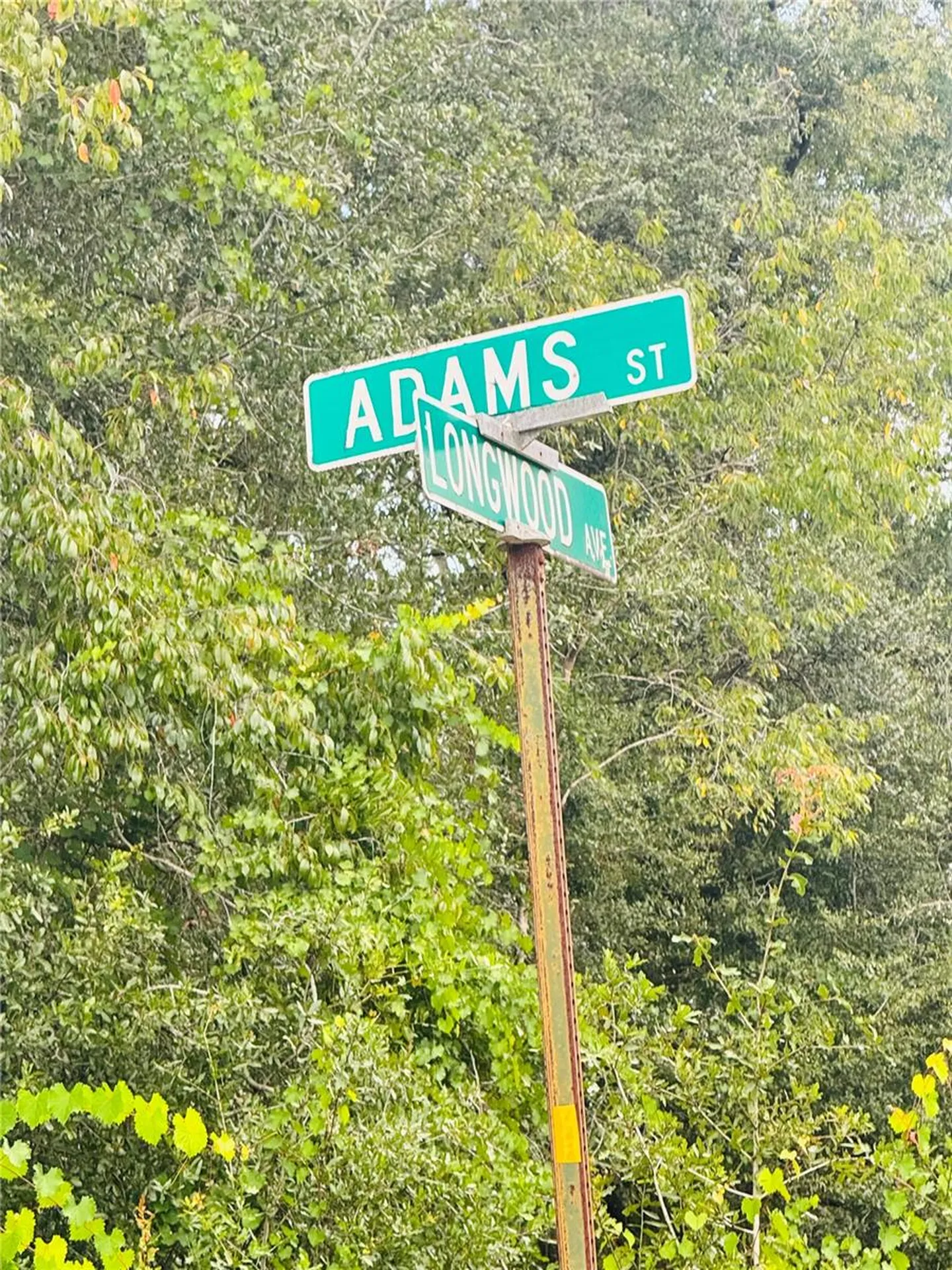 2203 Adams Street Inverness FL 34453