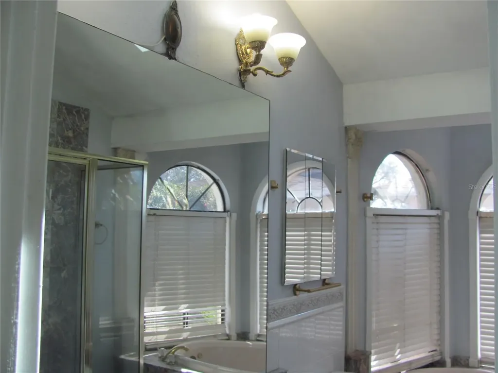 3210 Silkwood Loop Land O Lakes FL 34639