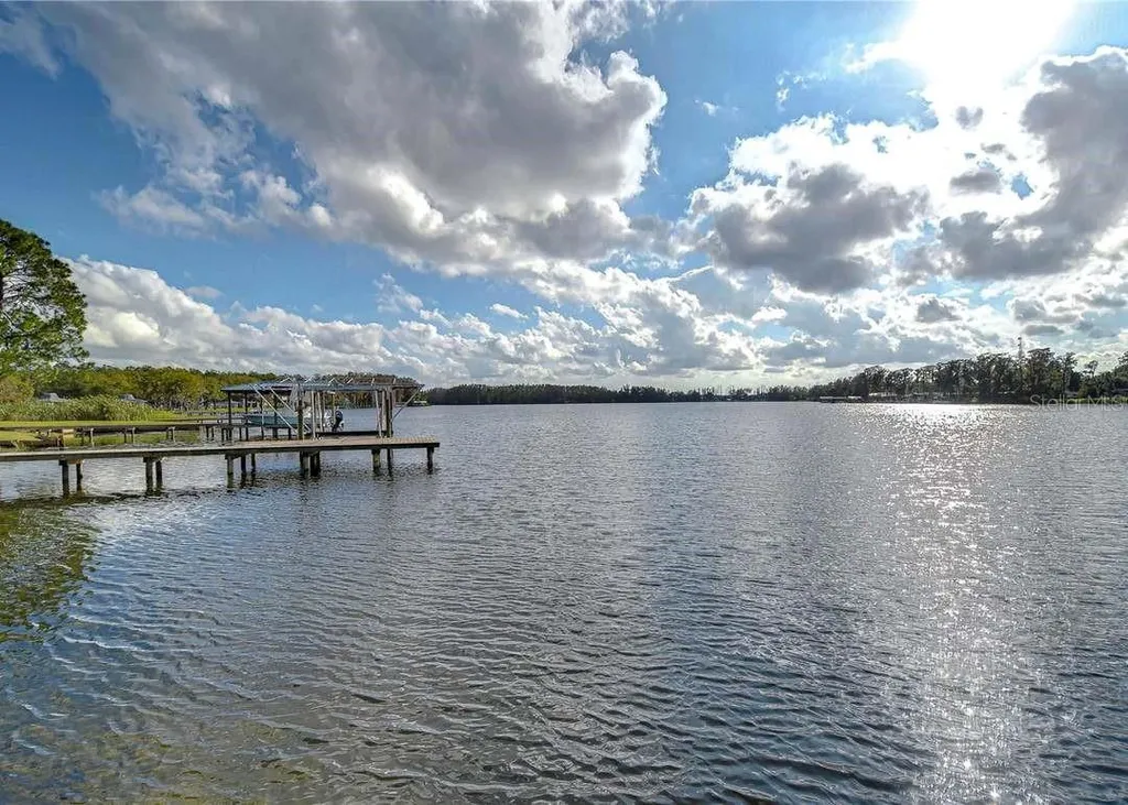 3210 Silkwood Loop Land O Lakes FL 34639
