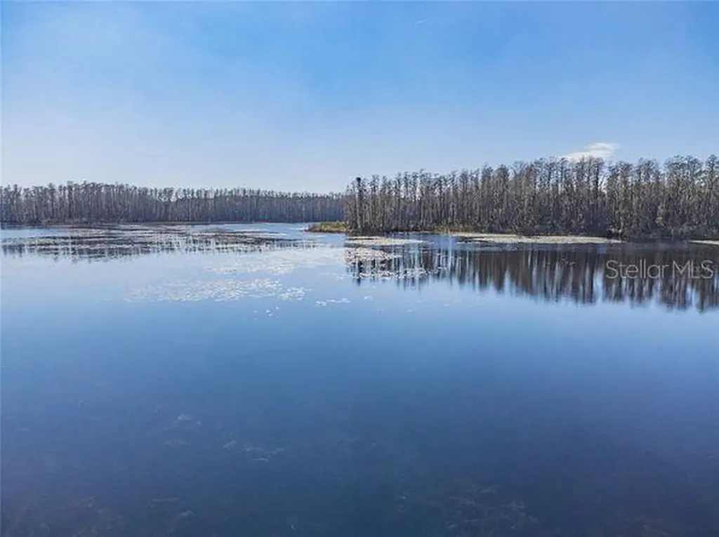 3210 Silkwood Loop Land O Lakes FL 34639