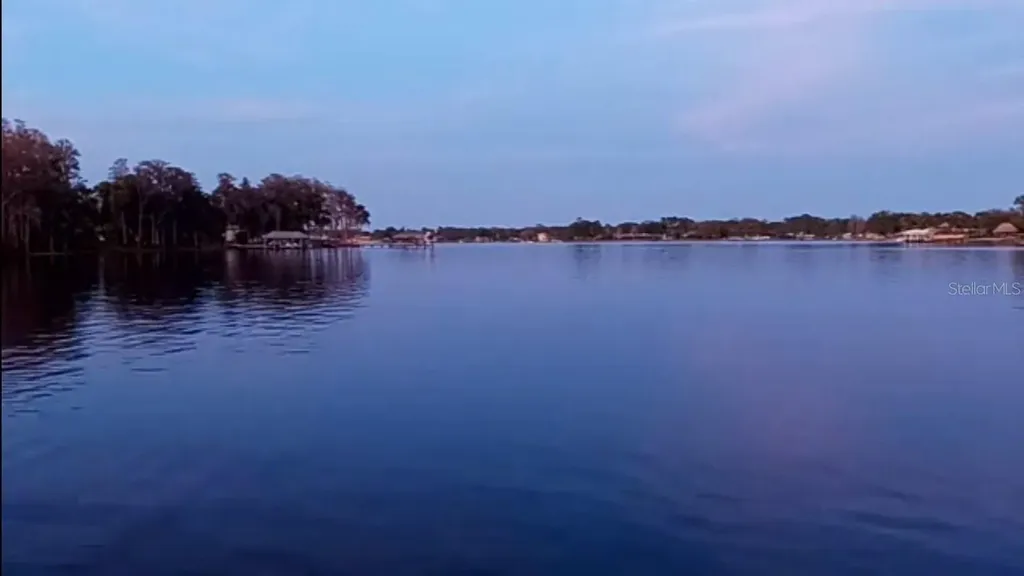 3210 Silkwood Loop Land O Lakes FL 34639