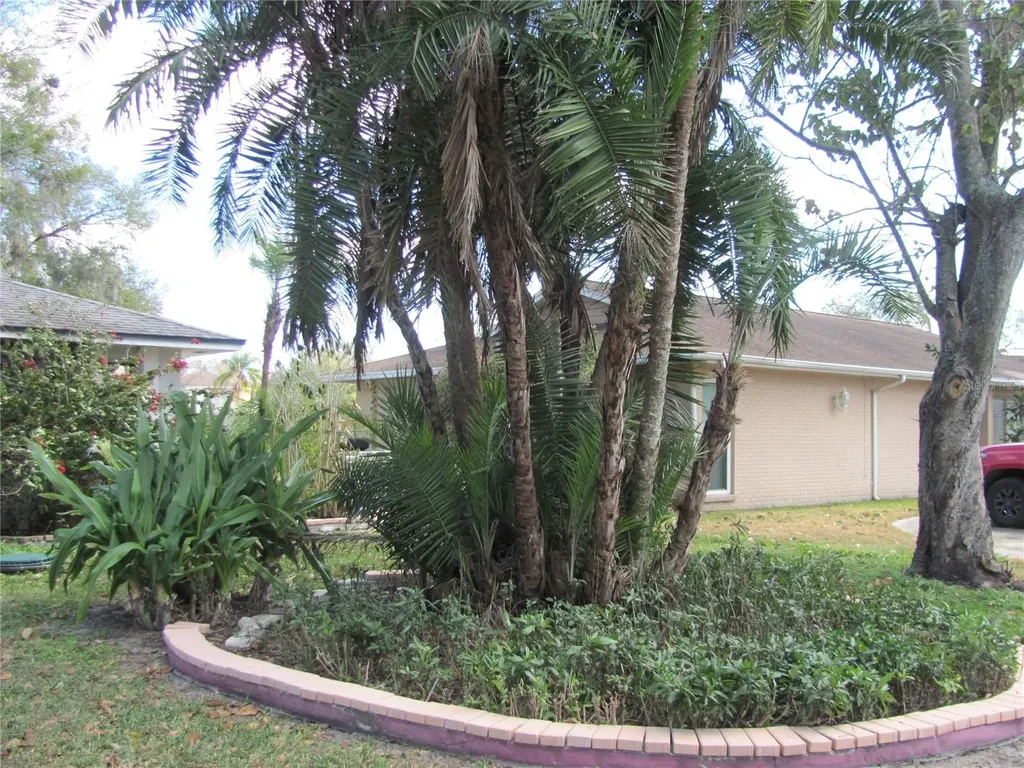 3210 Silkwood Loop Land O Lakes FL 34639