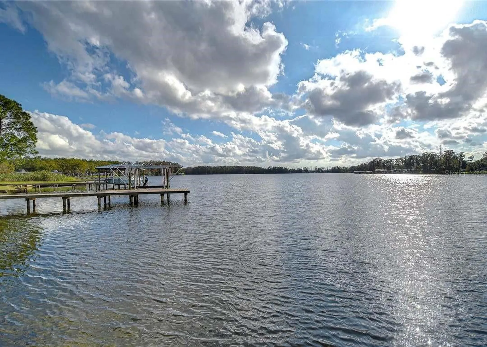 3210 Silkwood Loop Land O Lakes FL 34639