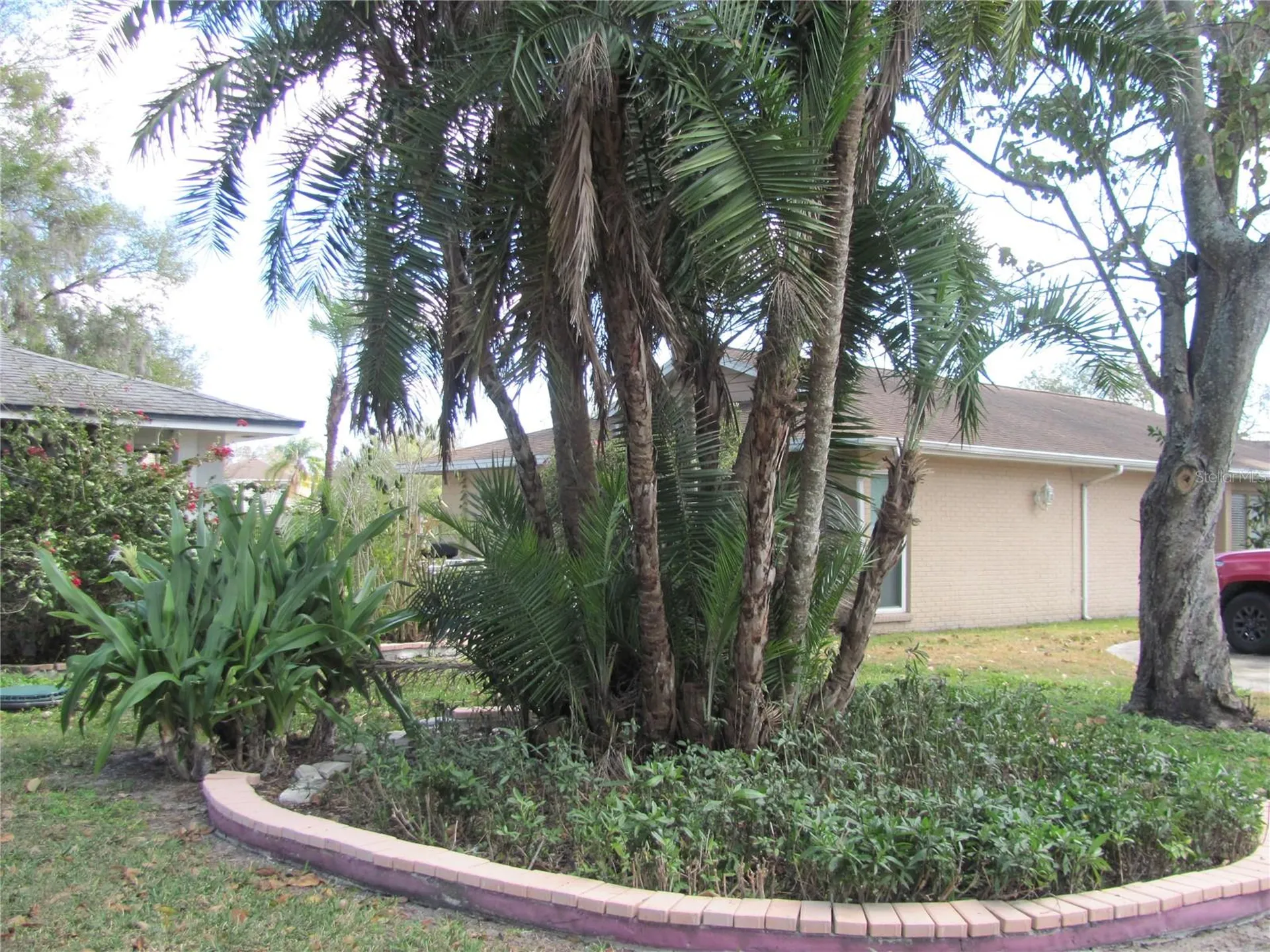 3210 Silkwood Loop Land O Lakes FL 34639
