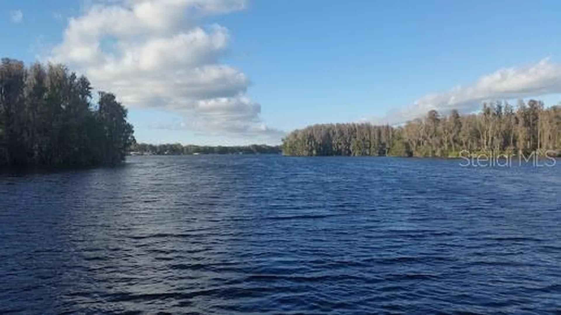 3210 Silkwood Loop Land O Lakes FL 34639
