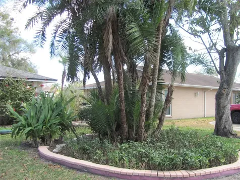 3210 Silkwood Loop Land O Lakes FL 34639