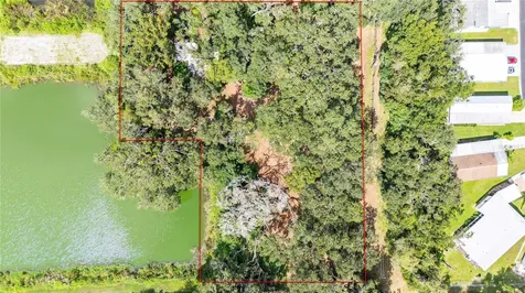 33933 Brumwell Drive Wesley Chapel FL 33543