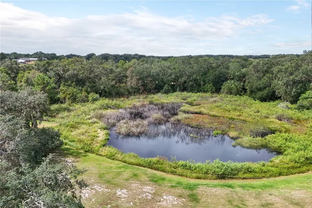 41812 Catbrier Lane Umatilla FL 32784