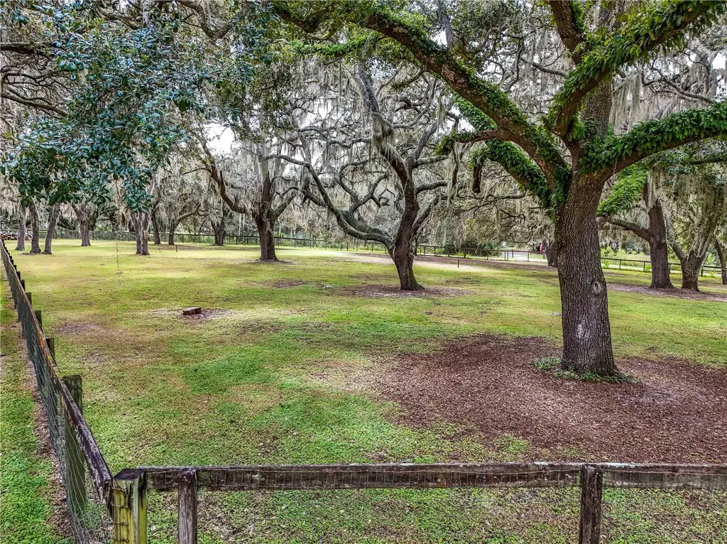 41812 Catbrier Lane Umatilla FL 32784