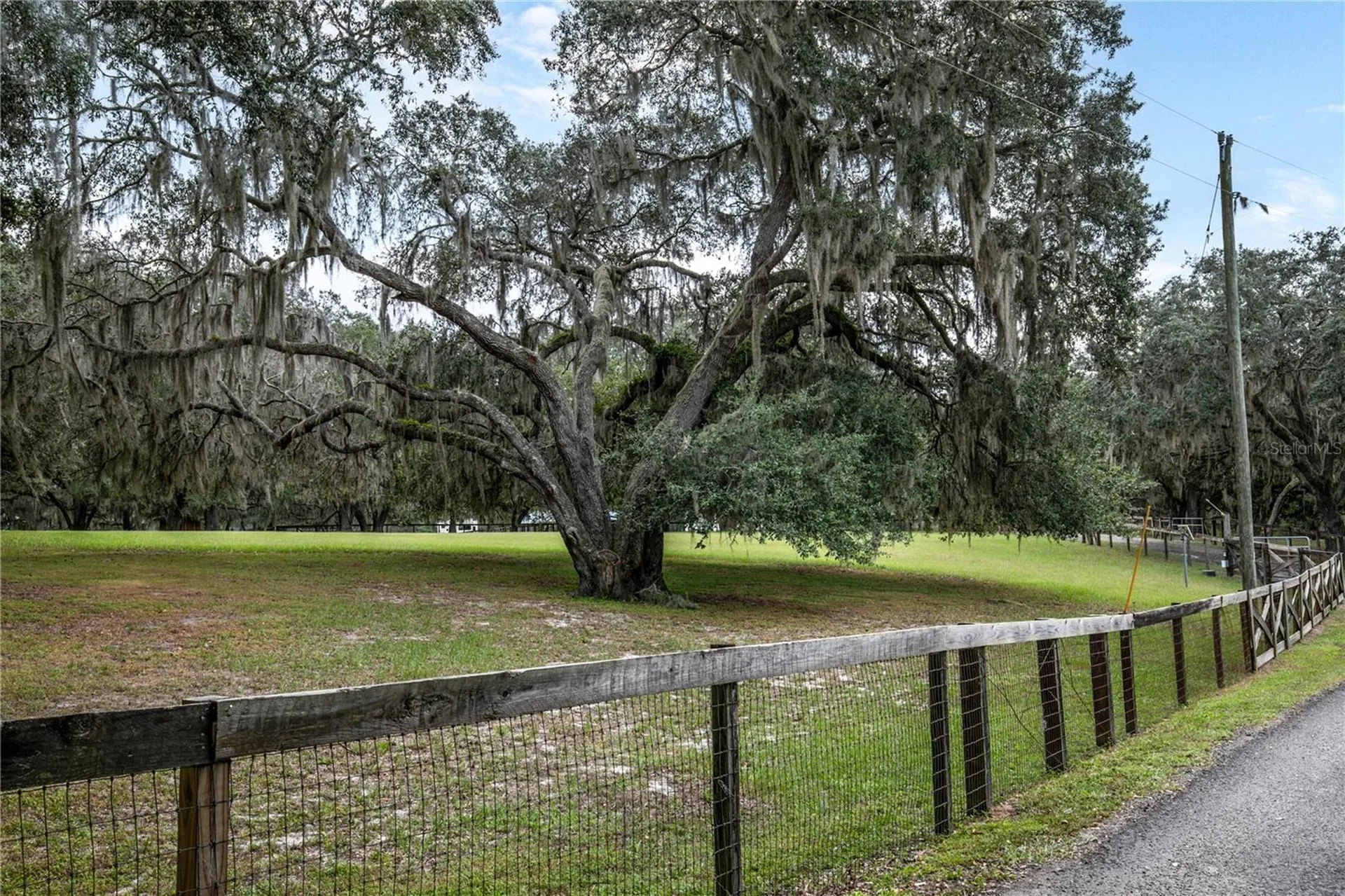 41812 Catbrier Lane Umatilla FL 32784