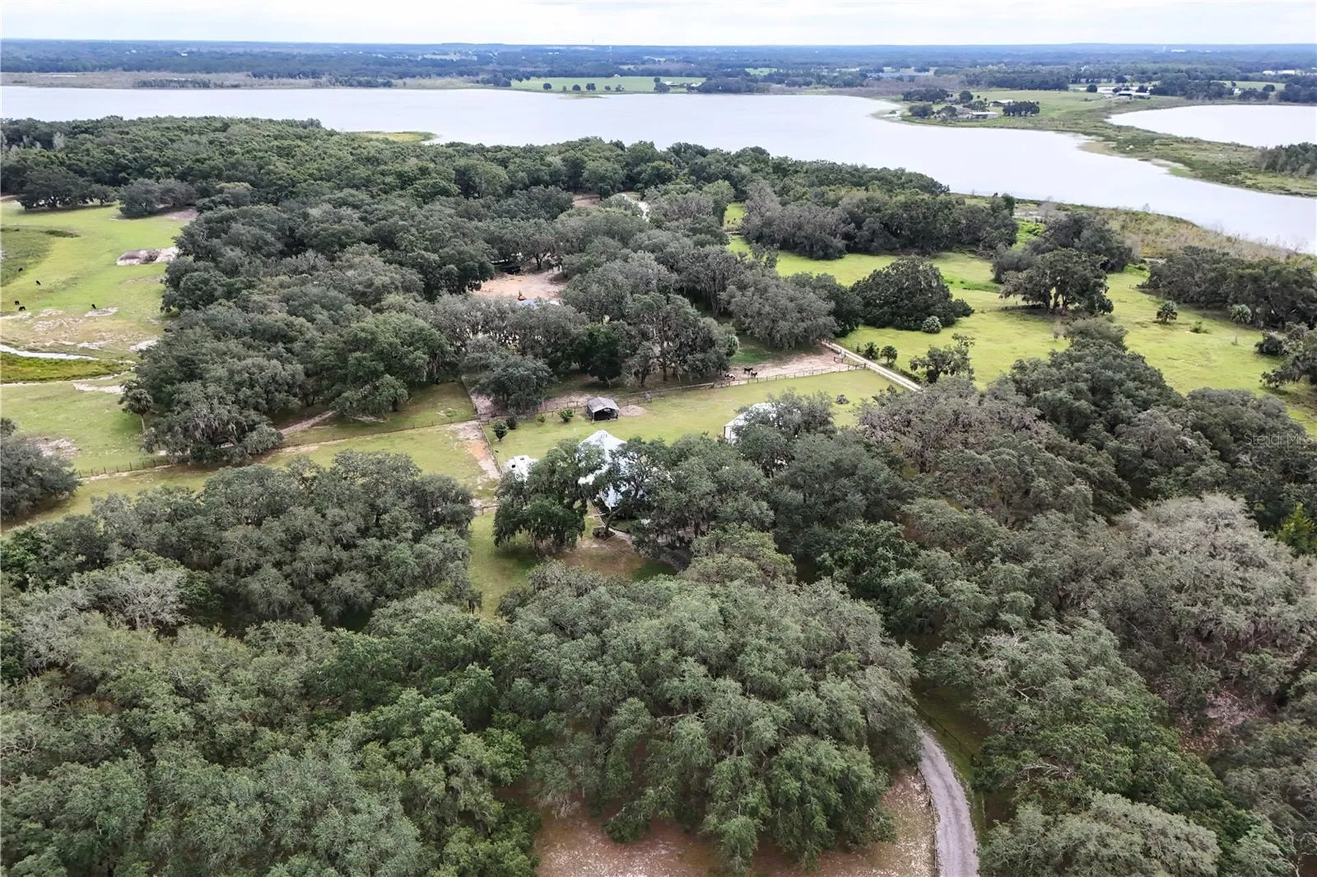 41812 Catbrier Lane Umatilla FL 32784