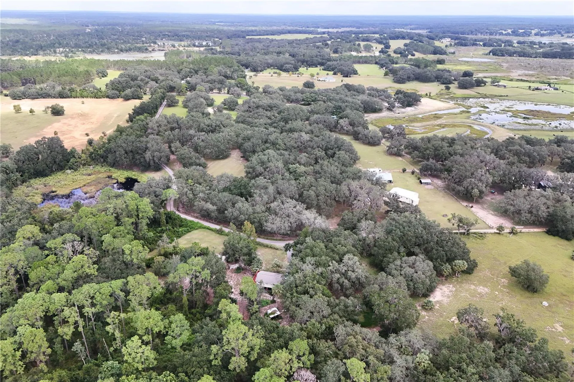 41812 Catbrier Lane Umatilla FL 32784