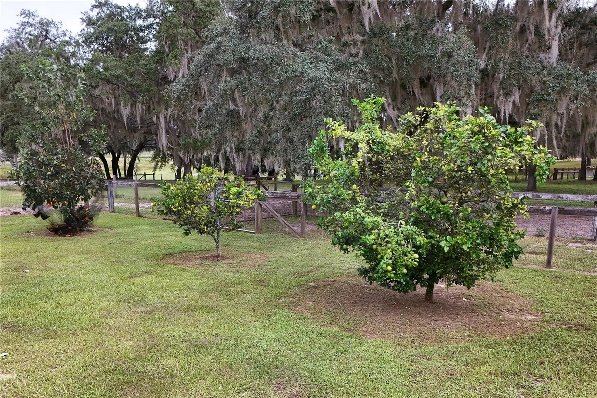 41812 Catbrier Lane Umatilla FL 32784