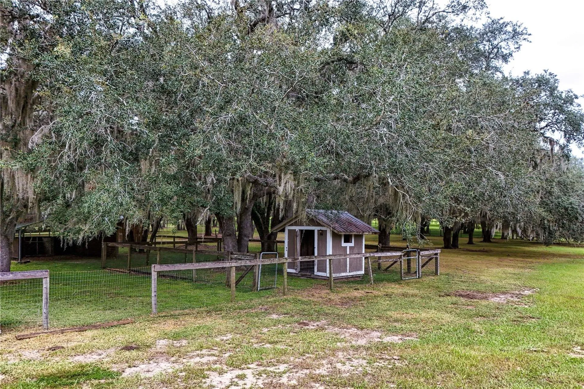 41812 Catbrier Lane Umatilla FL 32784