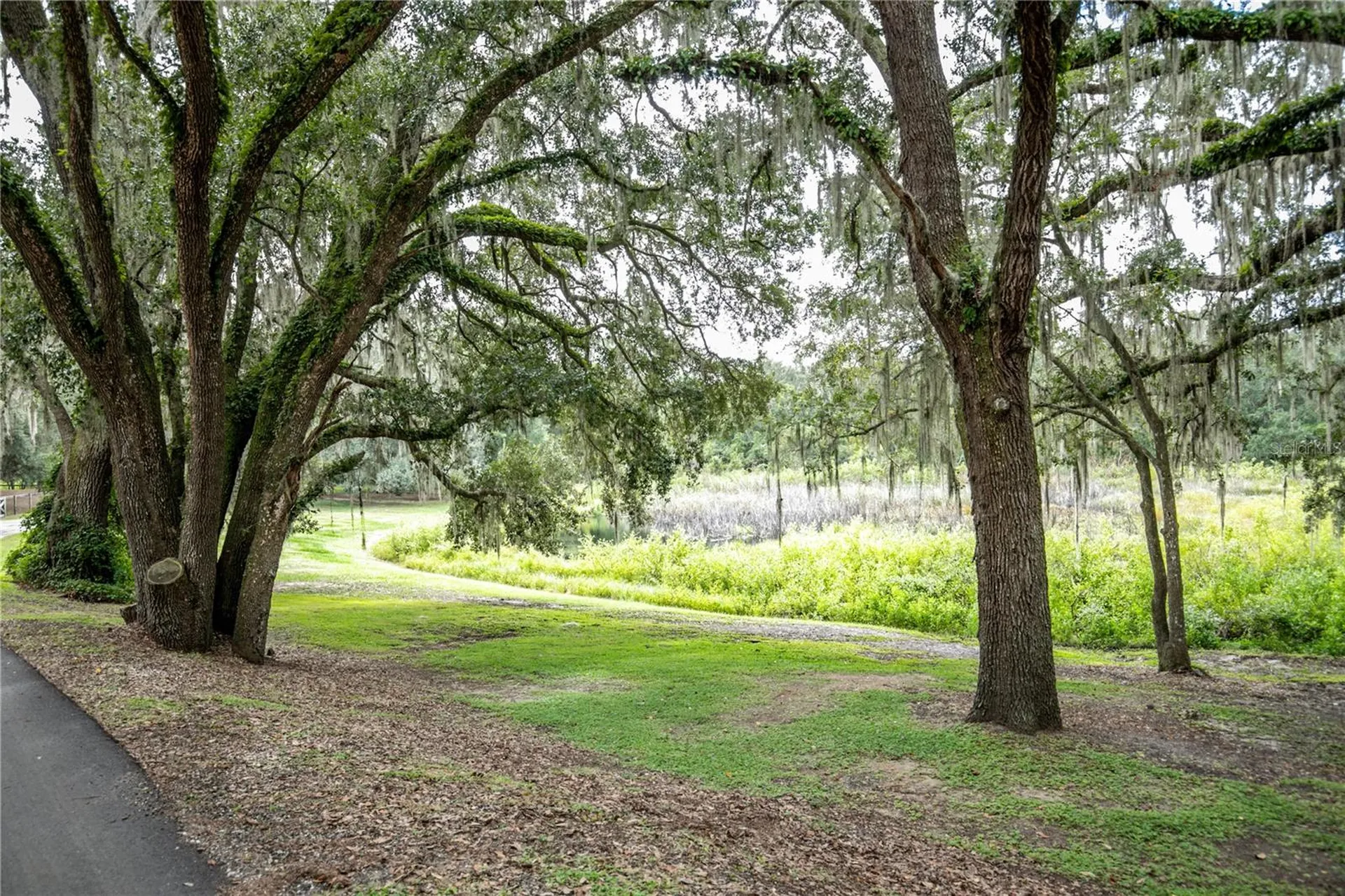 41812 Catbrier Lane Umatilla FL 32784