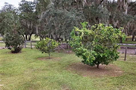41812 Catbrier Lane Umatilla FL 32784
