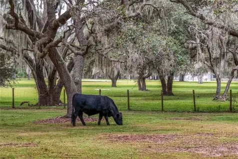 41812 Catbrier Lane Umatilla FL 32784