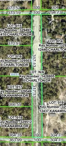 Charlton Drive Brooksville FL 34614