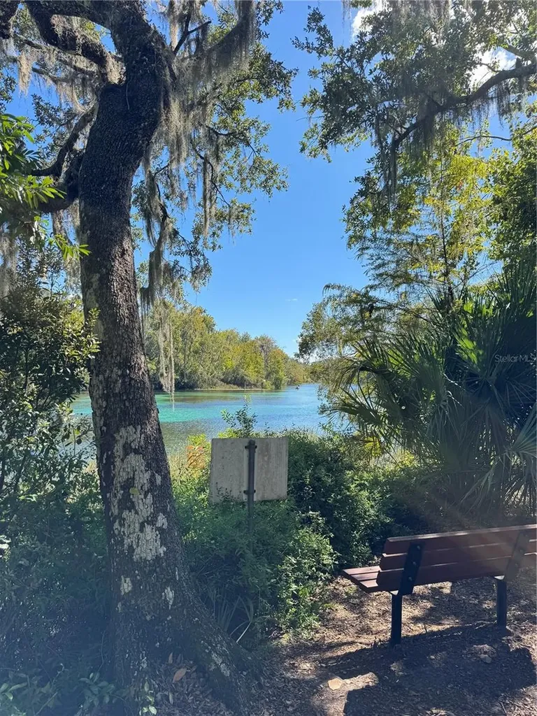 19447 SW 98th Place Road Dunnellon FL 34432