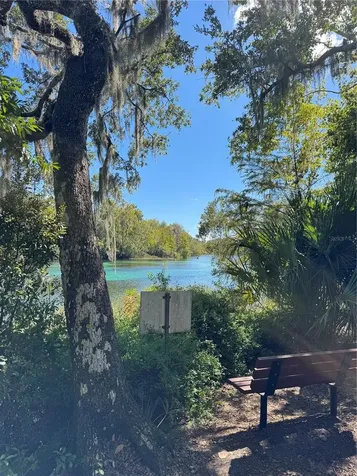 19447 SW 98th Place Road Dunnellon FL 34432