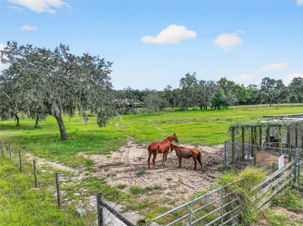 301 H L Smith Road Haines City FL 33844