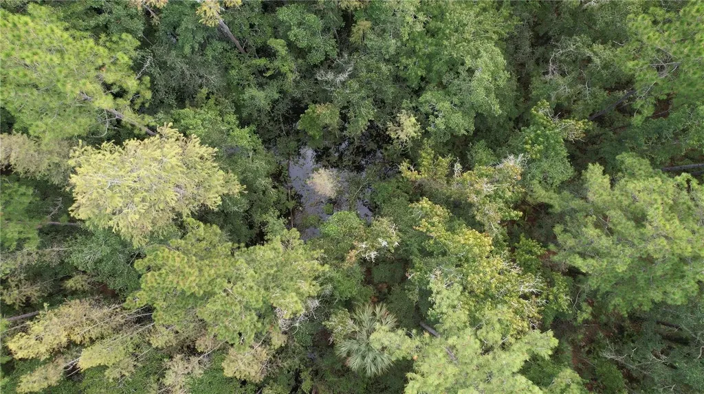 E Highway 316 Fort Mc Coy FL 32134