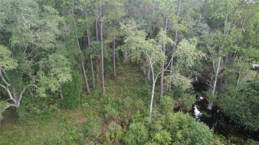 00 E Highway 316 Fort Mc Coy FL 32134