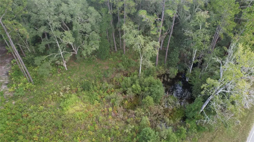 E Highway 316 Fort Mc Coy FL 32134