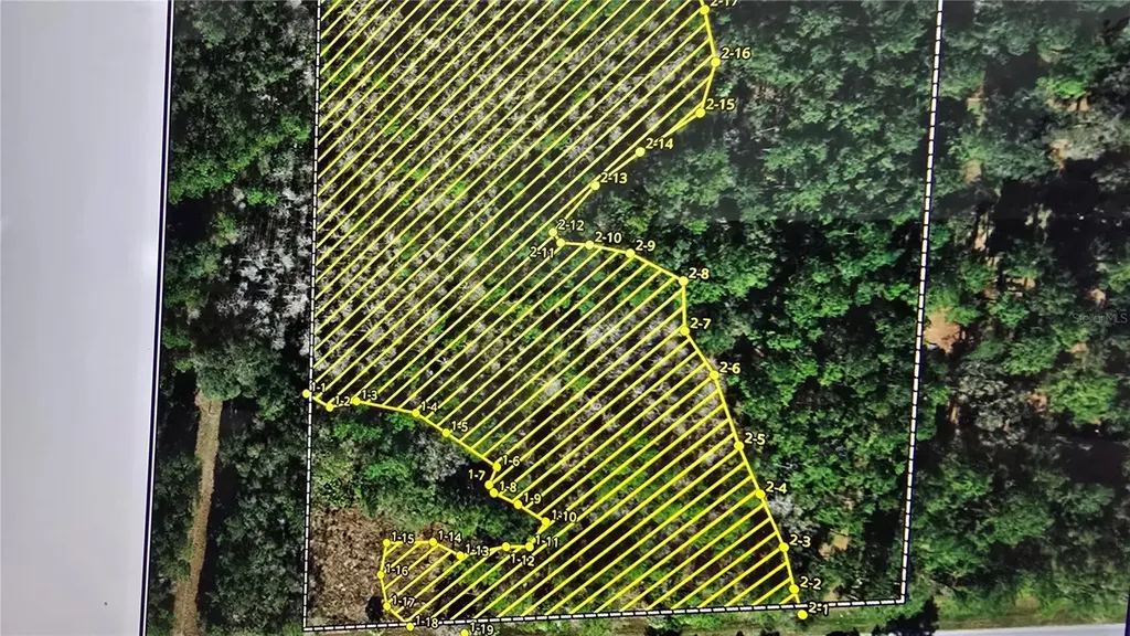 E Highway 316 Fort Mc Coy FL 32134