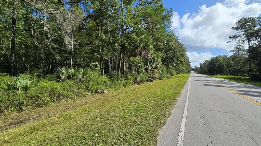 E Highway 316 Fort Mc Coy FL 32134